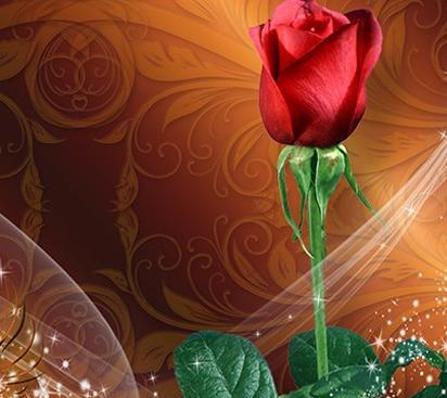 کلیپ عکس گل برای پروفایل