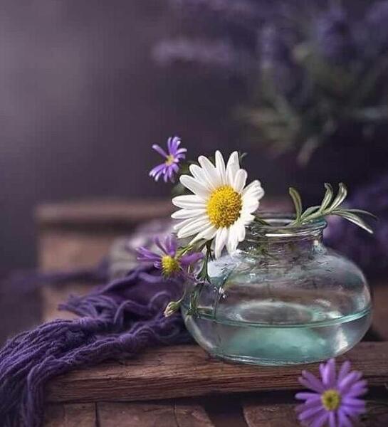 عکس پروفایل گل برای گل