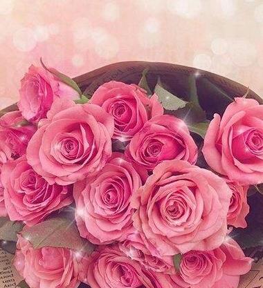 عکس گل برای پروفایل گروه
