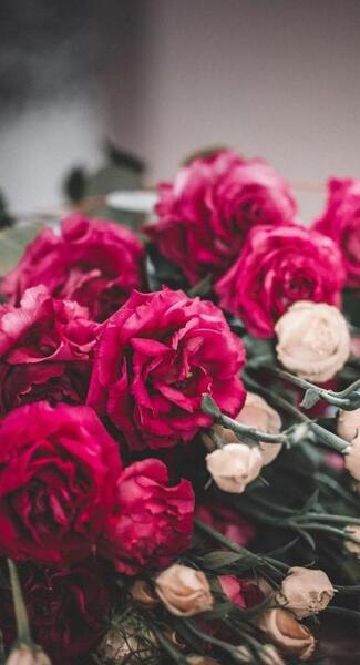 عکس گل برای پروفایل گروه