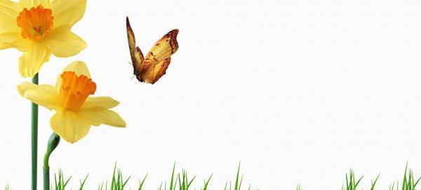عکس گل کارتونی برای پروفایل