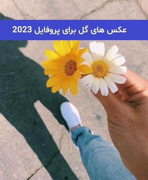 عکس گل پروفایل غمگین
