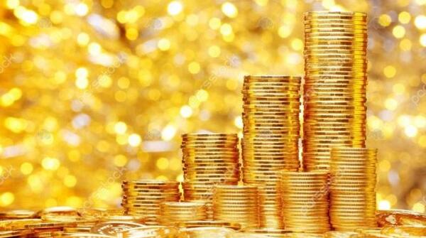 عکس گل گندم برای پروفایل