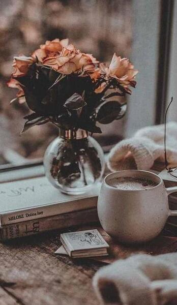 عکس گل گندم برای پروفایل