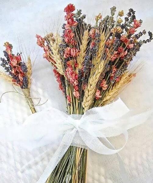عکس گل گندم برای پروفایل