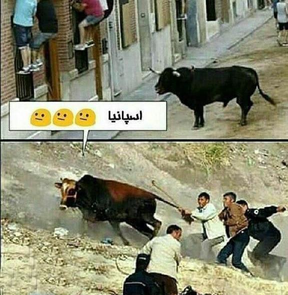 عکس گاو خنده دار کارتونی