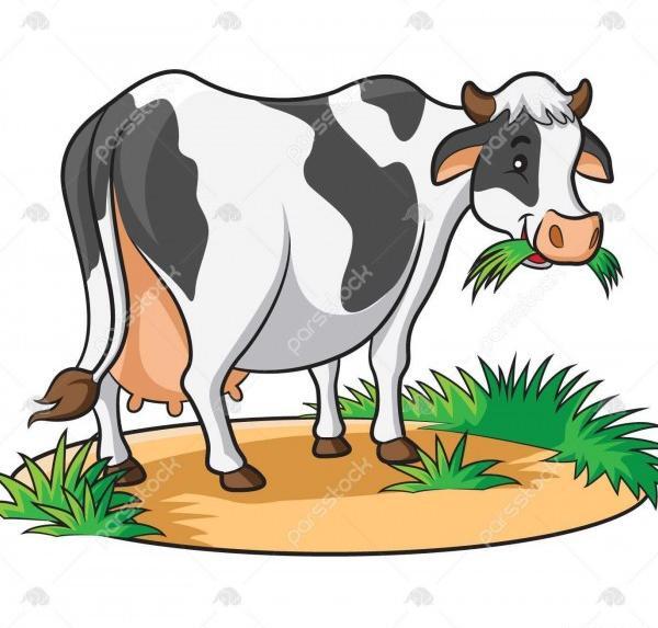 عکس گاو خنده دار کارتونی