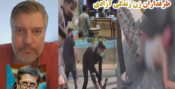 عکس گاو تو سوئیس