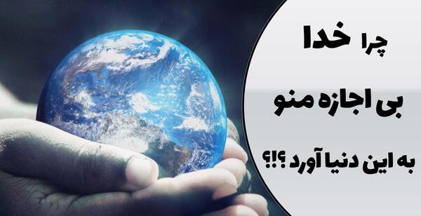 عکس گاو تو سوئیس