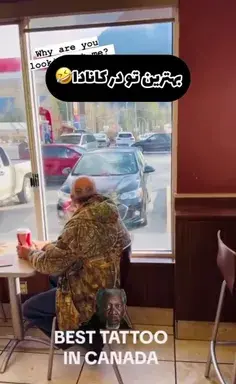 عکس گاو تو سوئیس