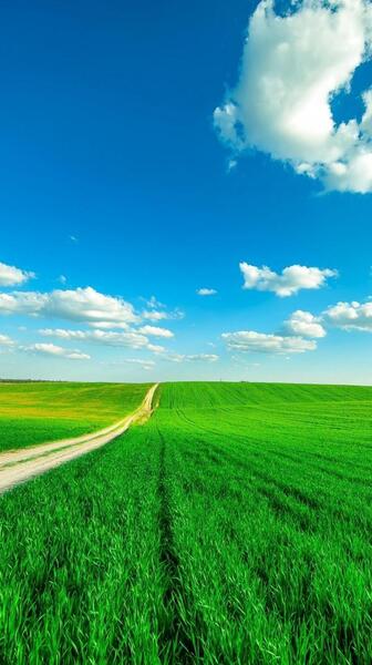 عکس زیبا واسه تصویر زمینه گوشی