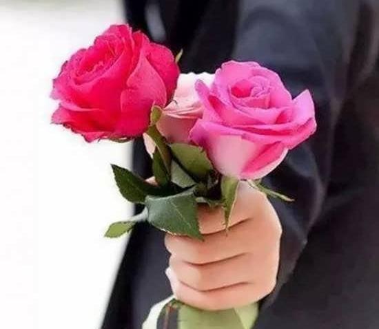 عکس گل های خوشگل برای پروفایل