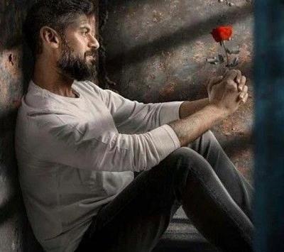 عکس گل لاتی برای پروفایل
