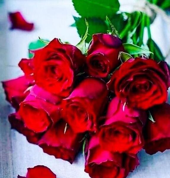 عکس گل لاتی برای پروفایل