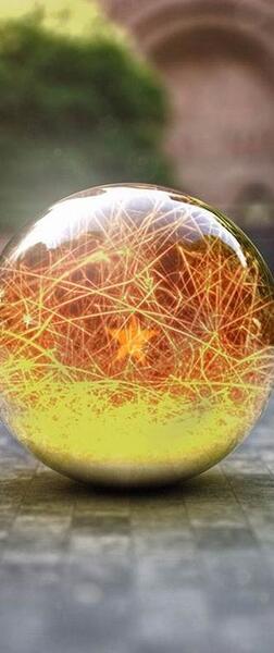 عکس گل واسه تصویر زمینه گوشی