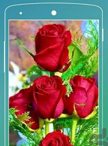 عکس گل واسه تصویر زمینه گوشی