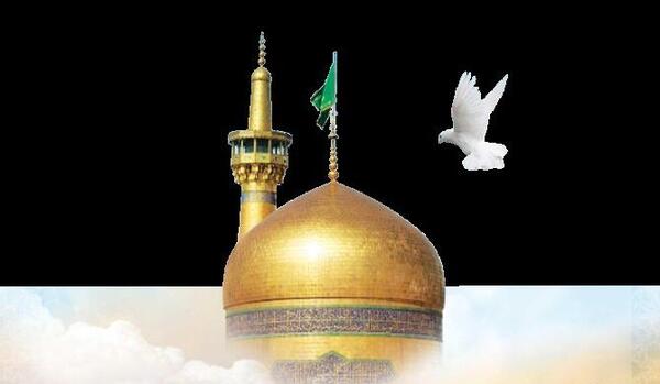 عکس حرم امام رضا با کبوتر برای پروفایل واتساپ