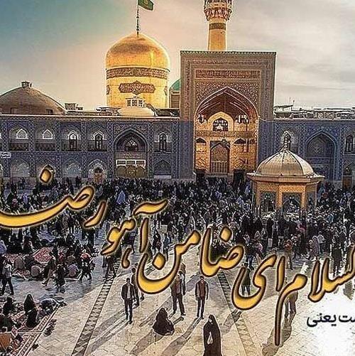 عکس حرم امام رضا با کبوتر برای پروفایل واتساپ