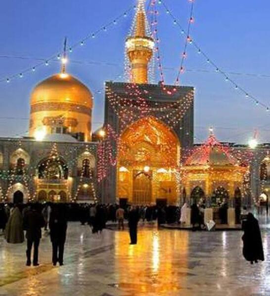 عکس حرم امام رضا با کبوتر برای پروفایل واتساپ