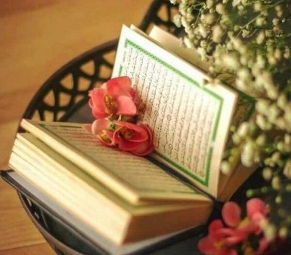 عکس پروفایل خدا و قران