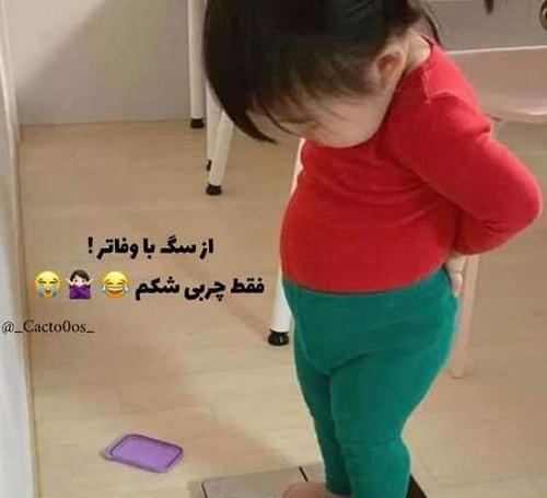 دانلود عکس پروفایل خنده دار جدید