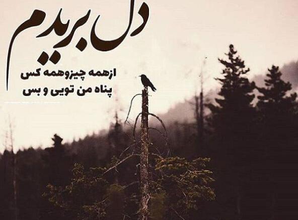 دانلود عکس پروفایل خدایا پناهم باش