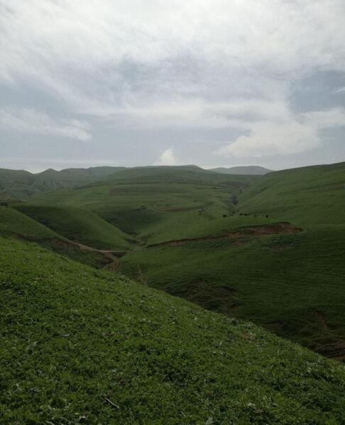 زیباترین عکس پروفایل فصل بهار