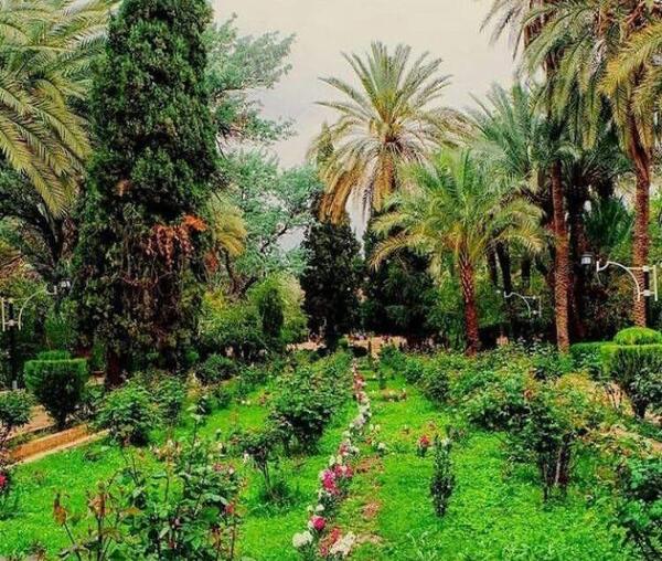 زیباترین عکس پروفایل فصل بهار