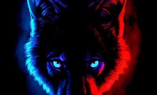عکس پروفایل حیوانات وحشی