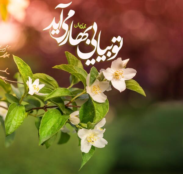 عکس پروفایل بهار قرآن و بهار طبیعت