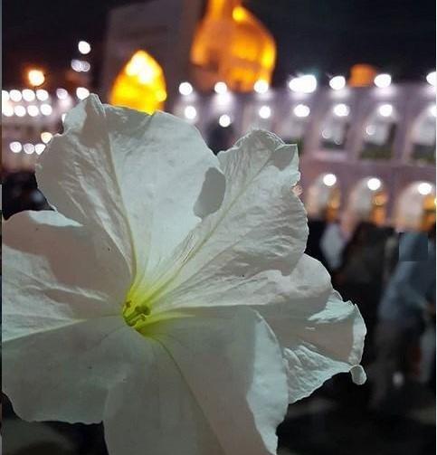 پروفایل عکس حرم امام رضا برای موبایل
