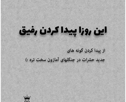 عکس پروفایل تیکه دار رفیق