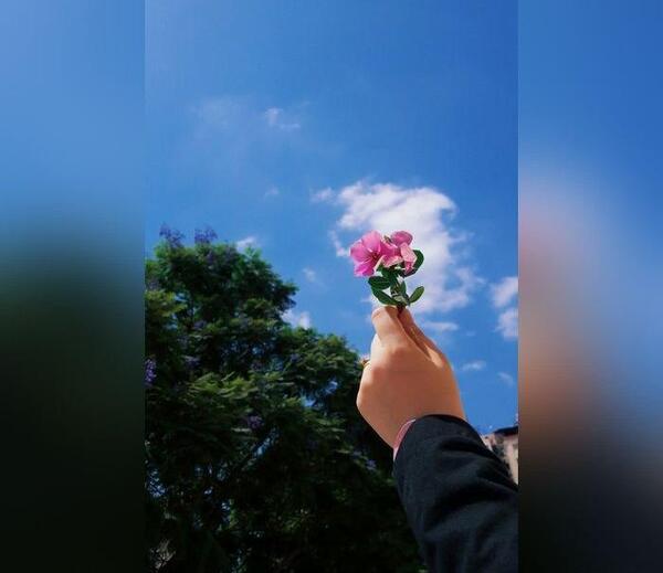 عکس پروفایل دخترونه جدید گل