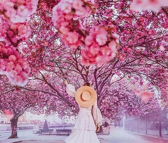 عکس پروفایل بهار زیبا