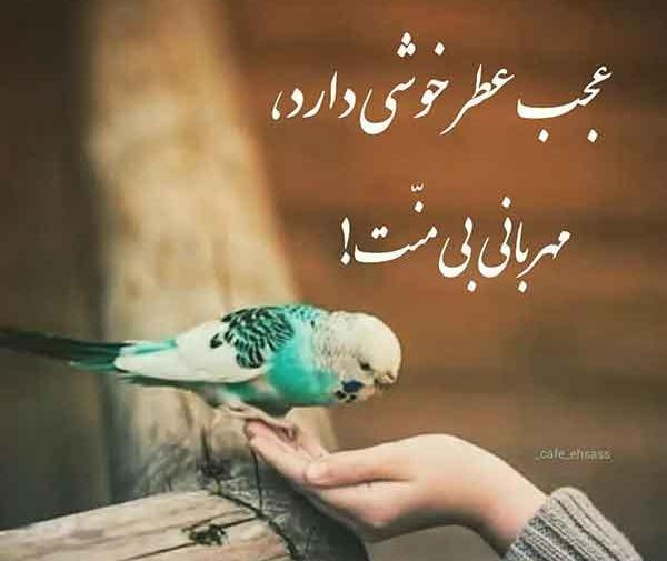 عکس پروفایل جدید امسال نوشته دار