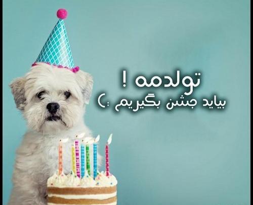 عکس پروفایل تولدمه تولدم مبارک