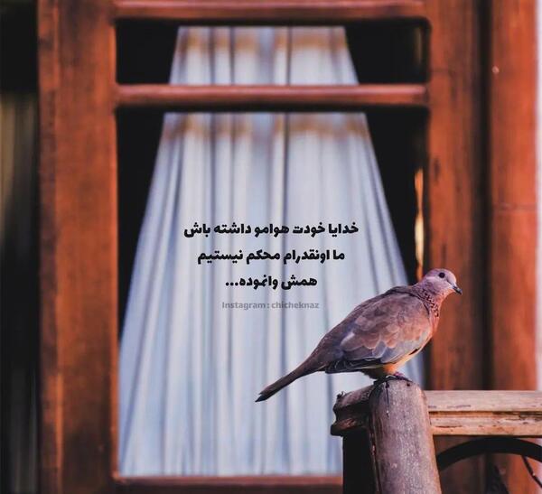 عکس پروفایل خدایا خودت هوامو داشته باش
