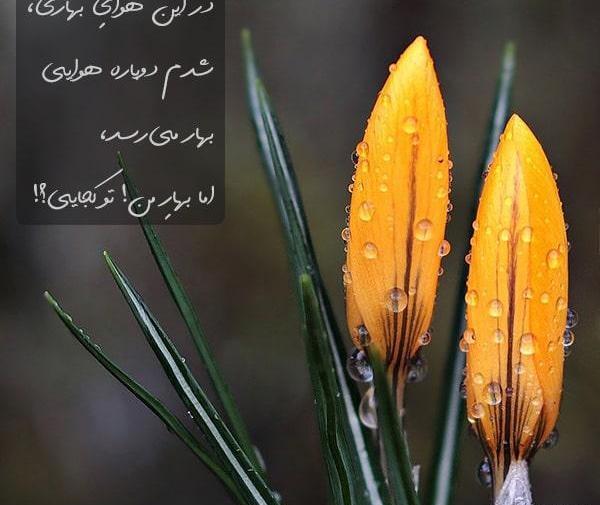 عکس پروفایل بهار مذهبی
