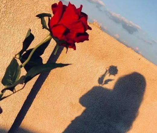 عکس با حجاب برای پروفایل واتساپ