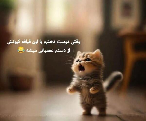 عکس پروفایل طنز و خنده دار