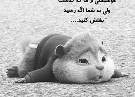 عکس پروفایل طنز و خنده دار