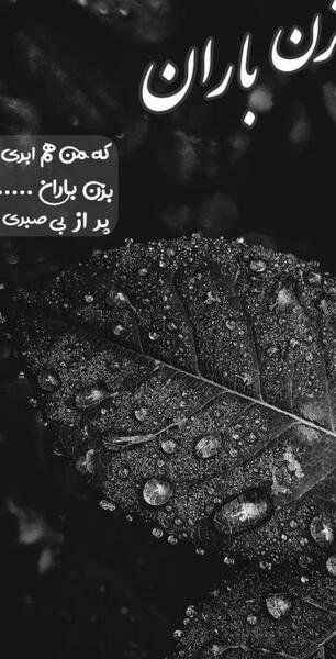 استوری عکس پروفایل خاص بدون متن اینستاگرام