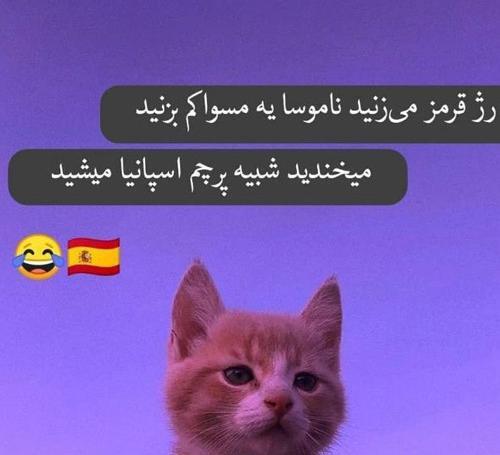 عکس پروفایل خنده دار پسرونه