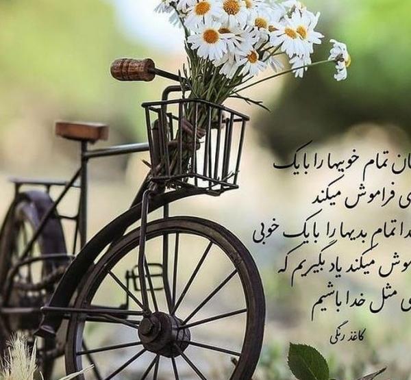 عکس پروفایل گل خدا