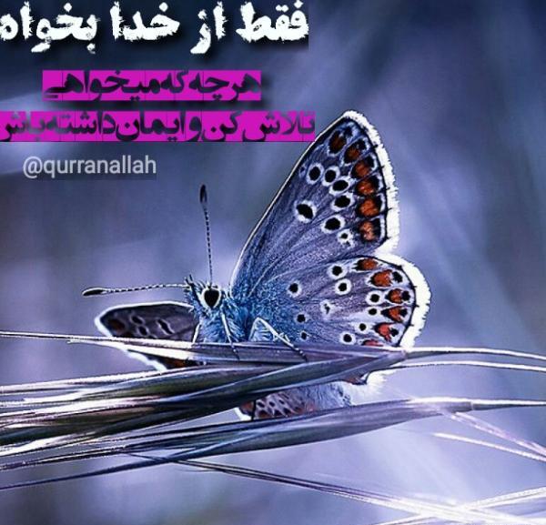 عکس برای پروفایل واتساپ خدایا شکرت