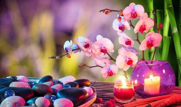 عکس پروفایل برای جذب ثروت