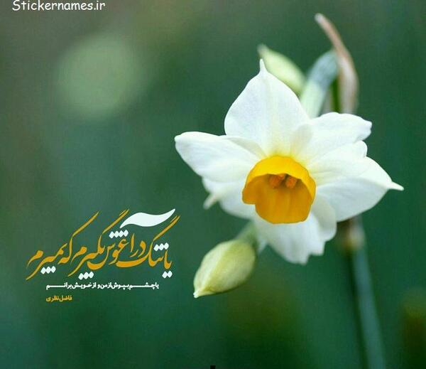 عکس پروفایل چشم پوشی از ما خیال زرنگی از شما