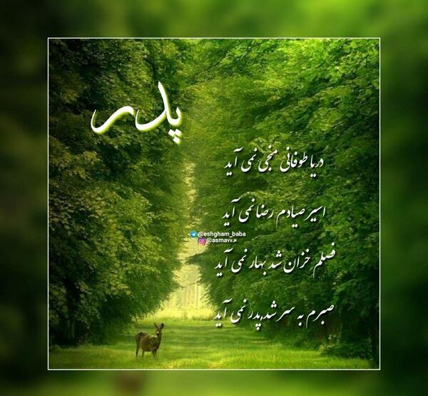 زیباترین عکس پروفایل روز پدر