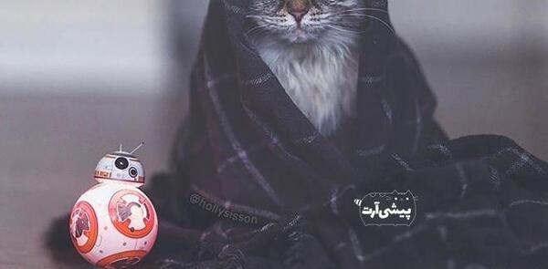 عکس پروفایل تیکه دار خنده دار