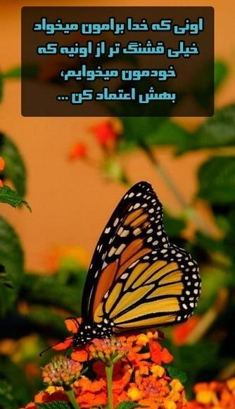 عکس پروفایل خدا همیشه هوامو داره